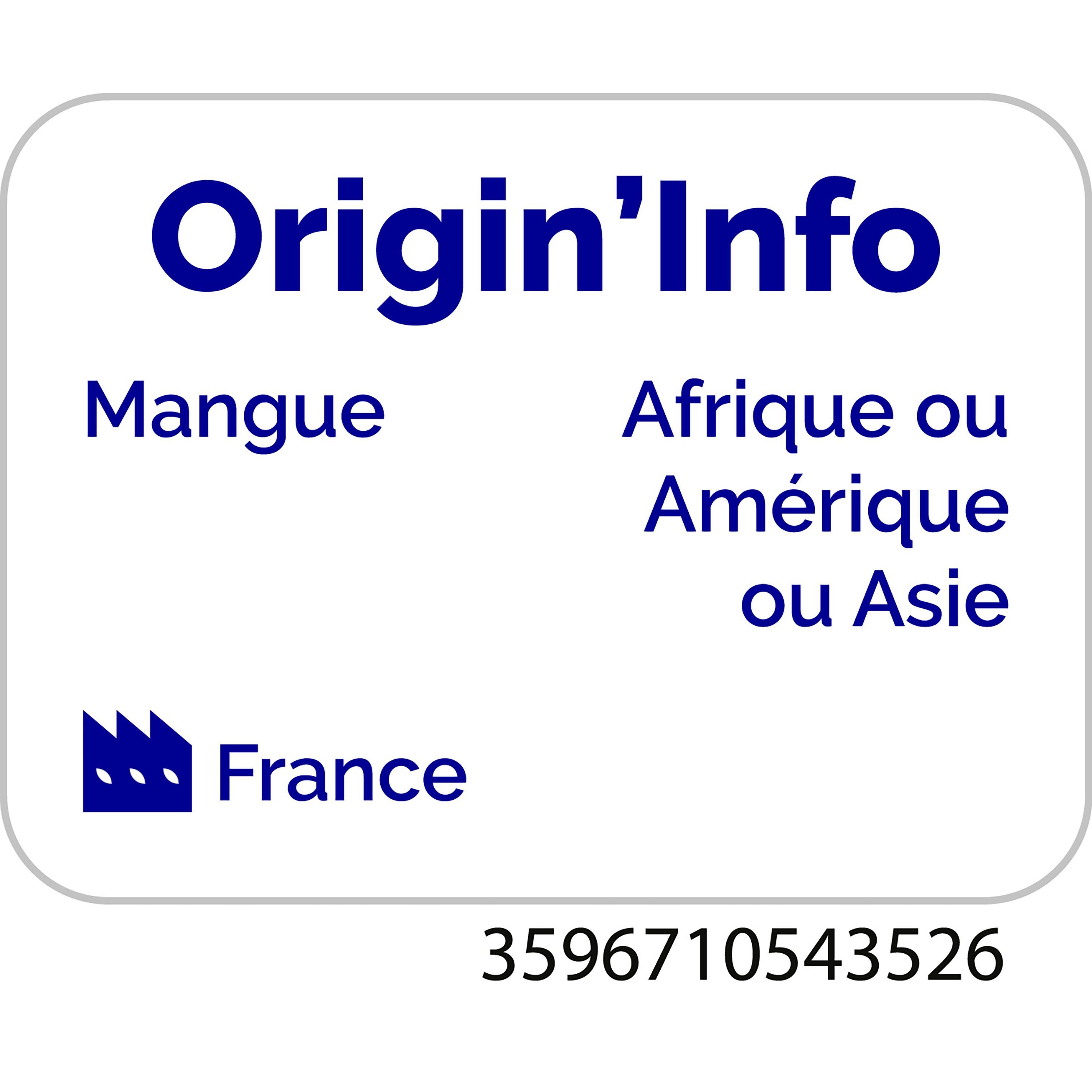 Voir la diapositive 5 : AUCHAN Nectar de mangue Instant Gourmand 1l