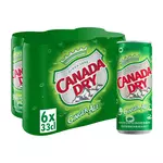 CANADA DRY Boisson gazeuse rafraîchissante saveur gingembre boîte 6x33cl