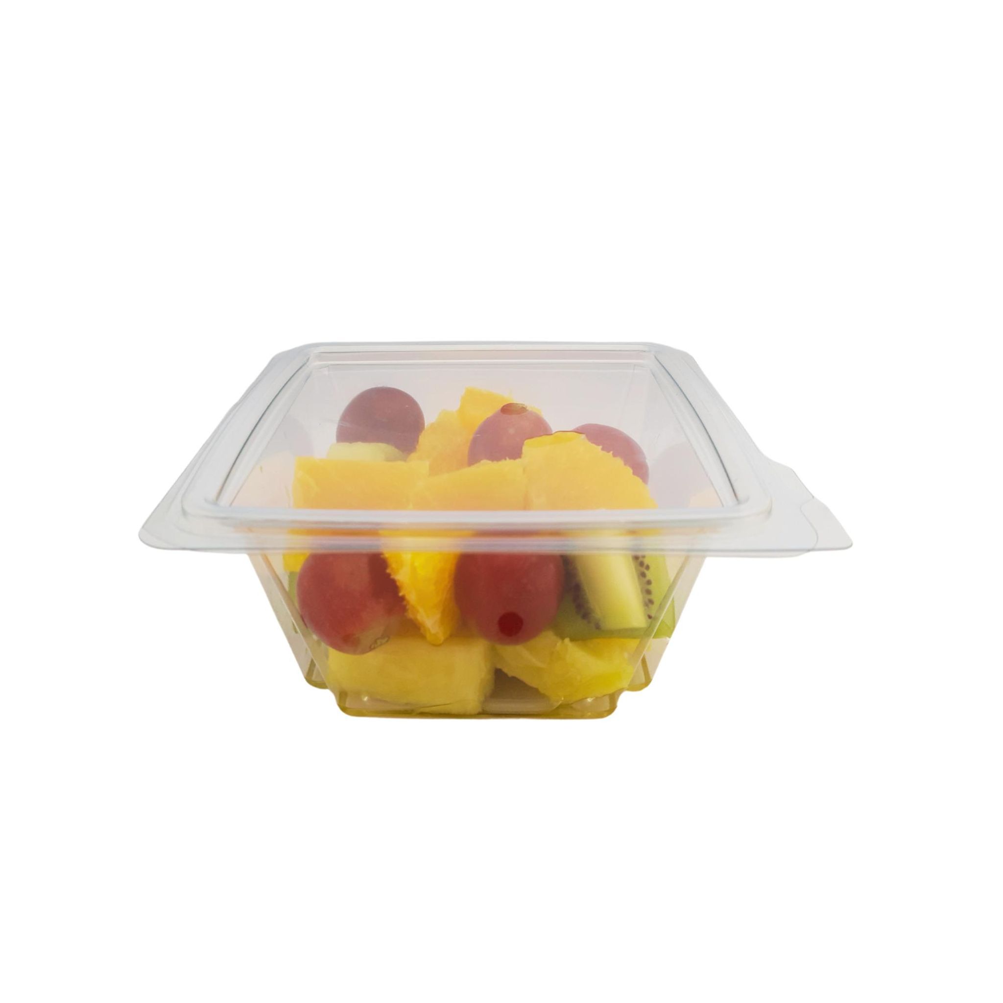 FRAICH ENVIE Salade de fruits 250g