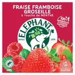 ELEPHANT Infusion Fraise Framboise Groseille touche de menthe 20 sachets 40g
