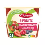 MATERNE Spécialité pomme fraise framboise cerise myrtille sans sucre ajoutés 4x100g