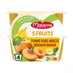 MATERNE Spécialité pomme poire abricot brugnon banane sans sucres ajoutés 4x100g