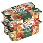 PANIER DE YOPLAIT Yaourt aux fruits abricot pêche fraise cerise avec morceaux 12x125g