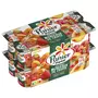 PANIER DE YOPLAIT Yaourt aux fruits abricot pêche fraise cerise avec morceaux 16x125g