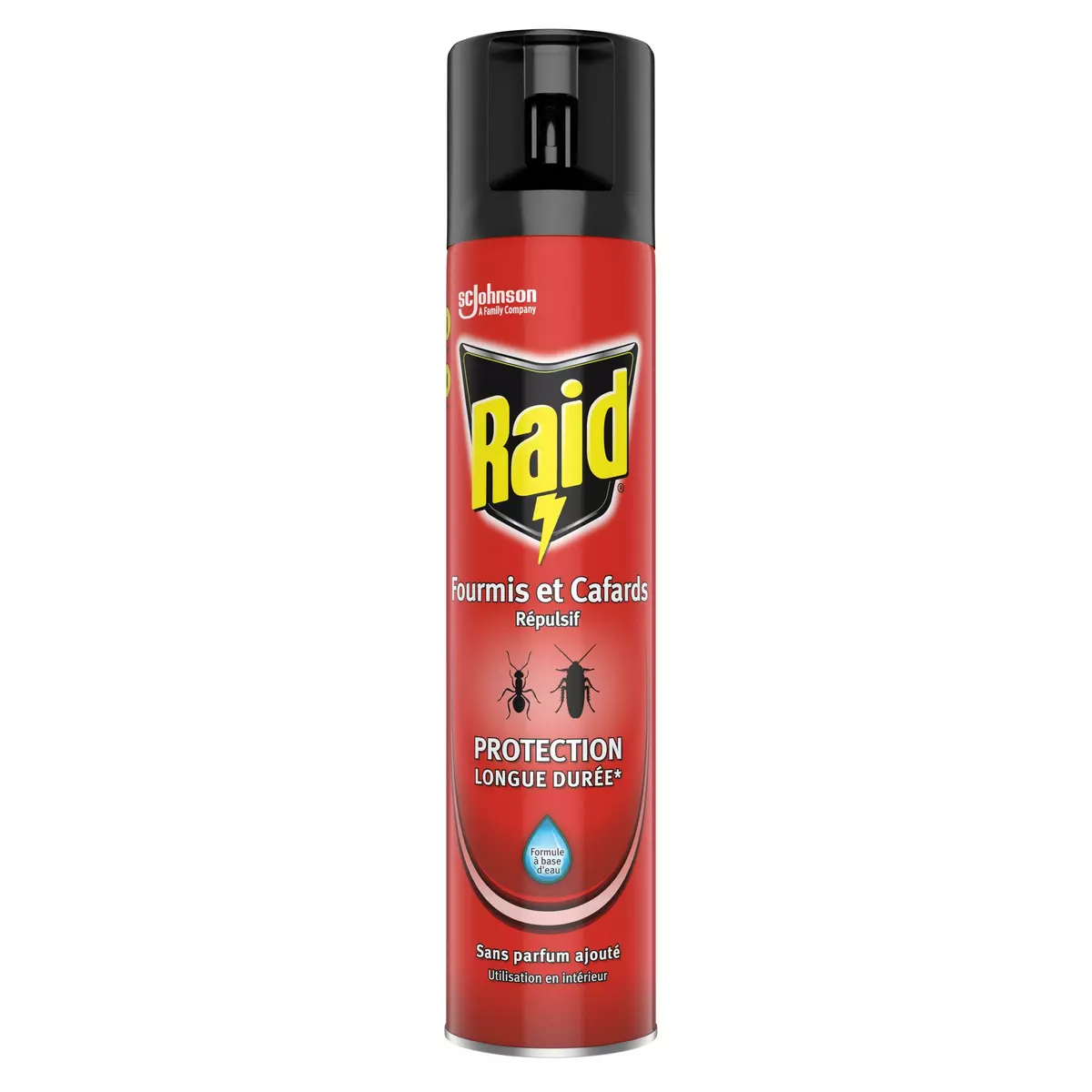 RAID Aérosol insecticide contre les rampants 300ml