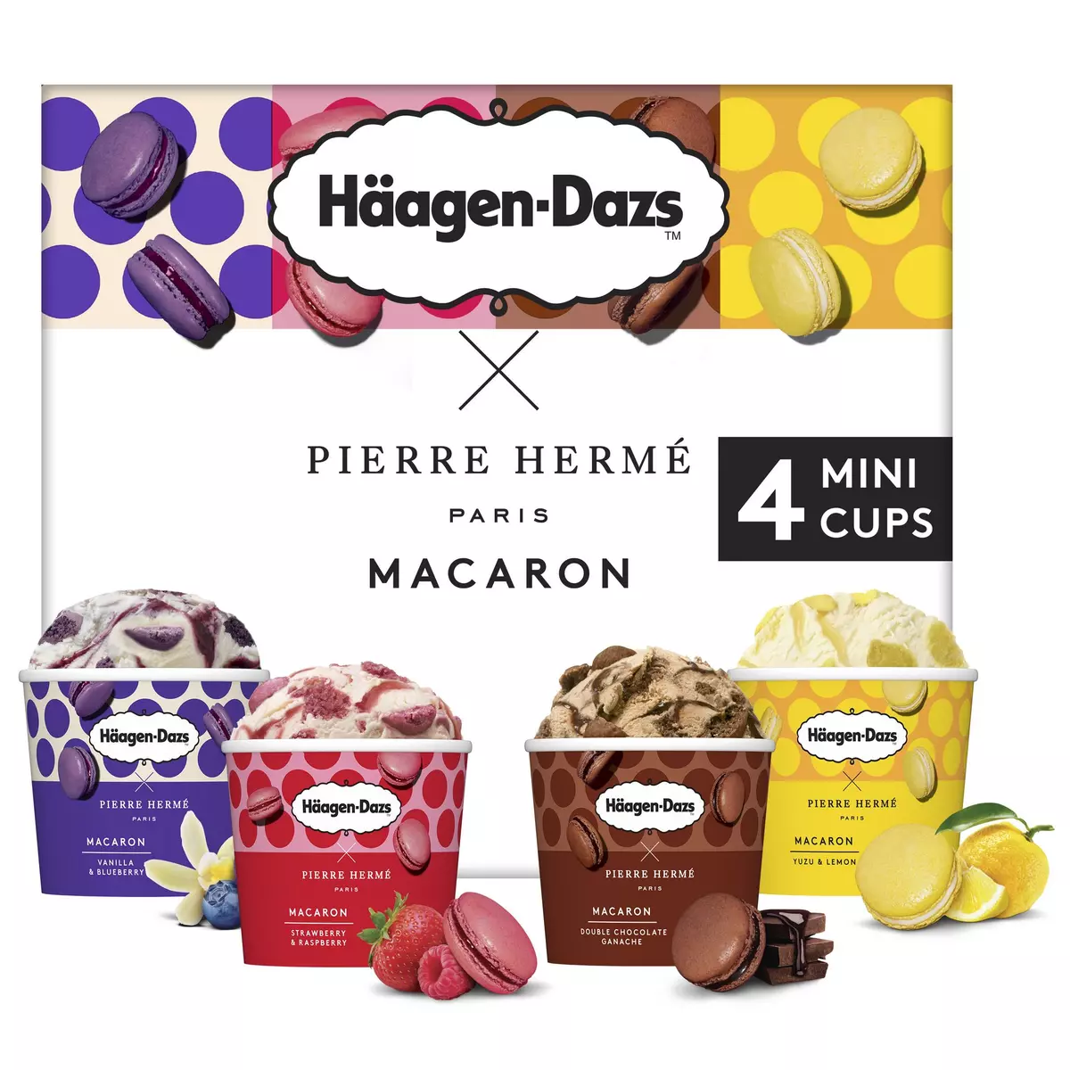 HAAGEN DAZS Mini pot crème glacée collection Pierre Hermé macaron 4 pièces 332g
