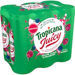 TROPICANA Juicy Boisson à l'eau de source pomme cassis framboise boîte 6x33cl