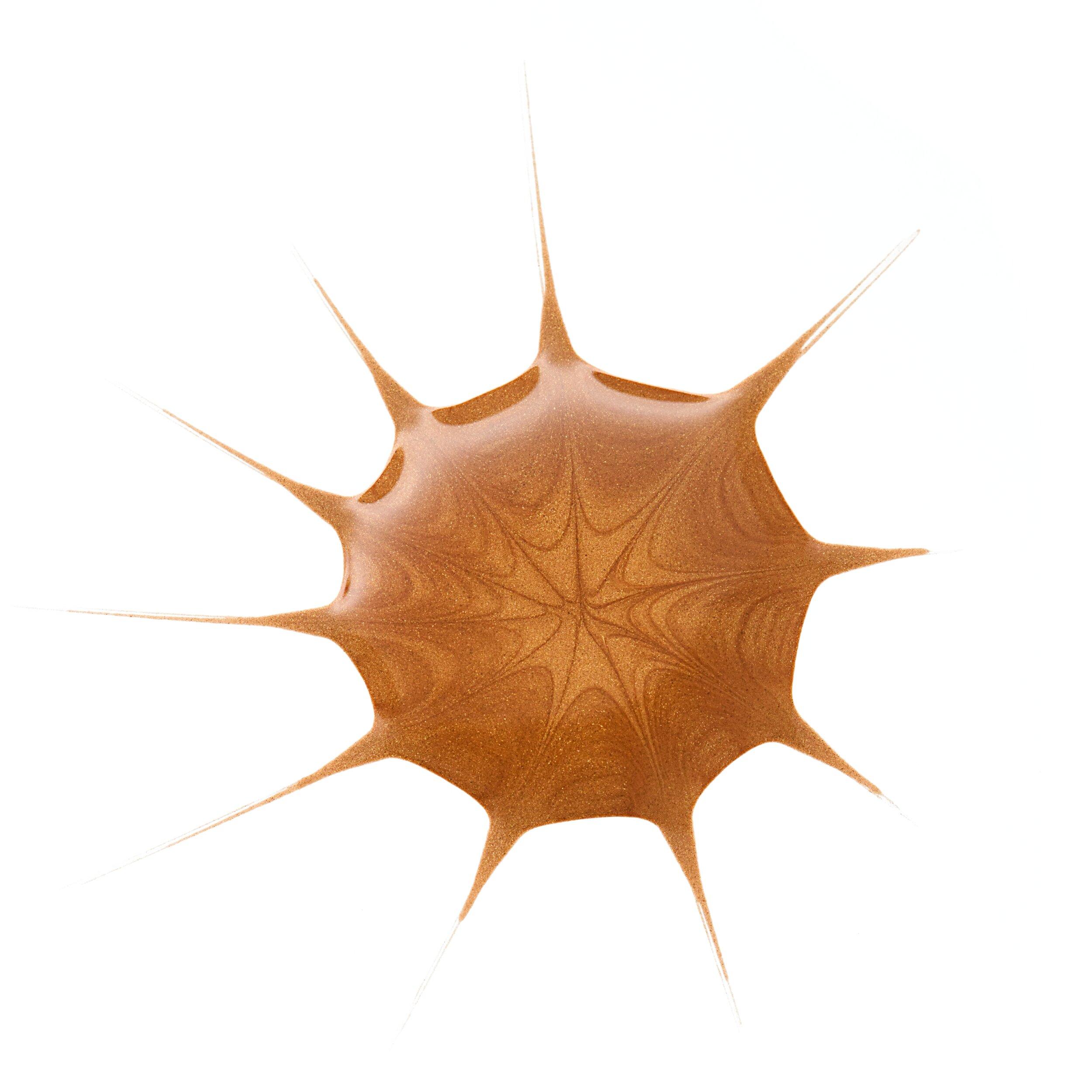 Voir la diapositive 3 : ESSENCE Drop Of Sunshine Bronzing drops 25ml