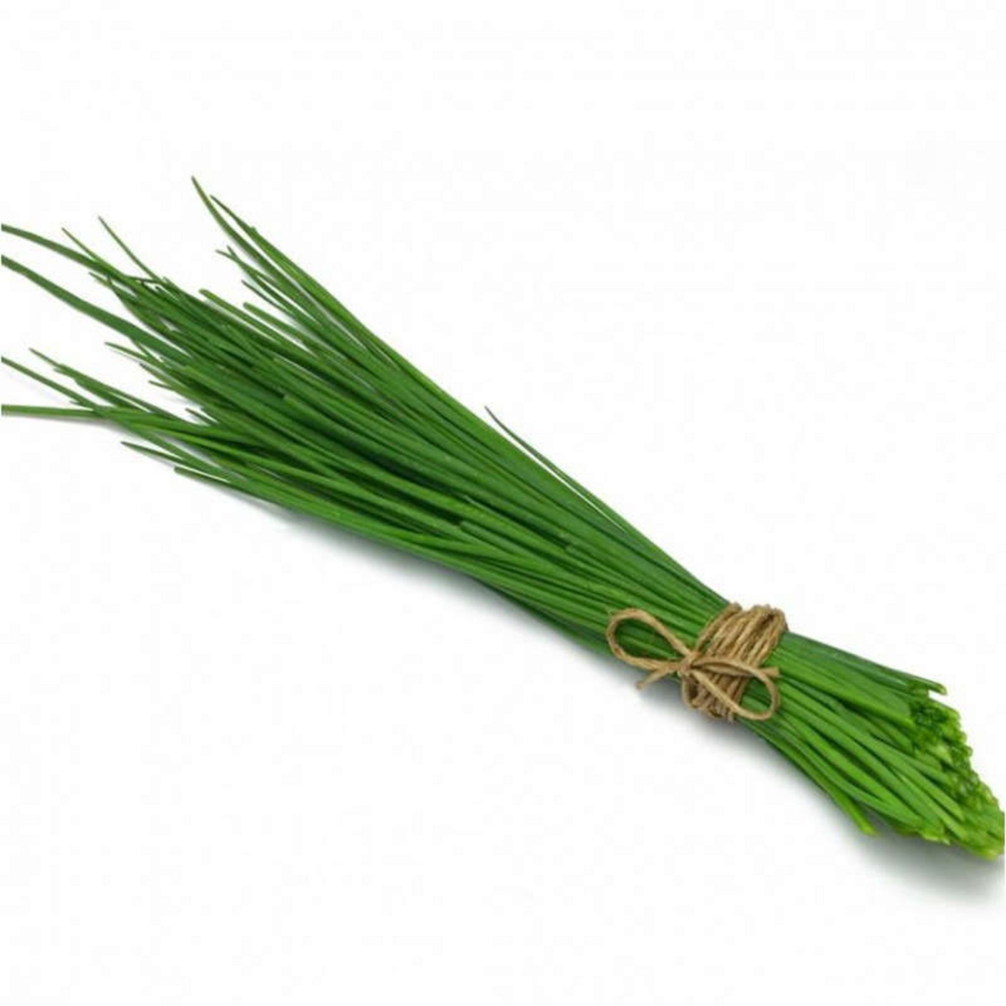 Ciboulette en botte 1 pièce