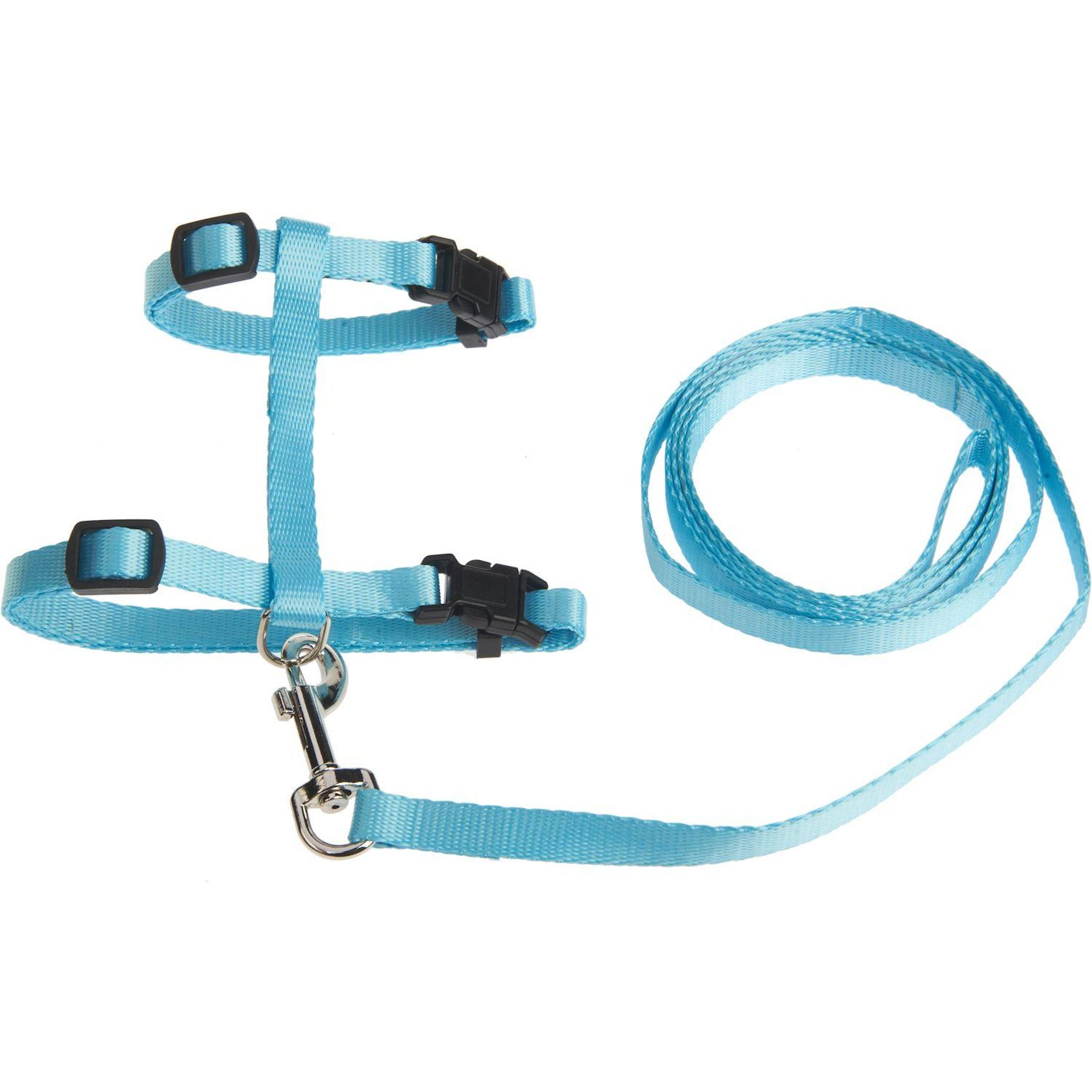 Harnais et laisse 1cm x 120cm bleu pour chat 1 pièce