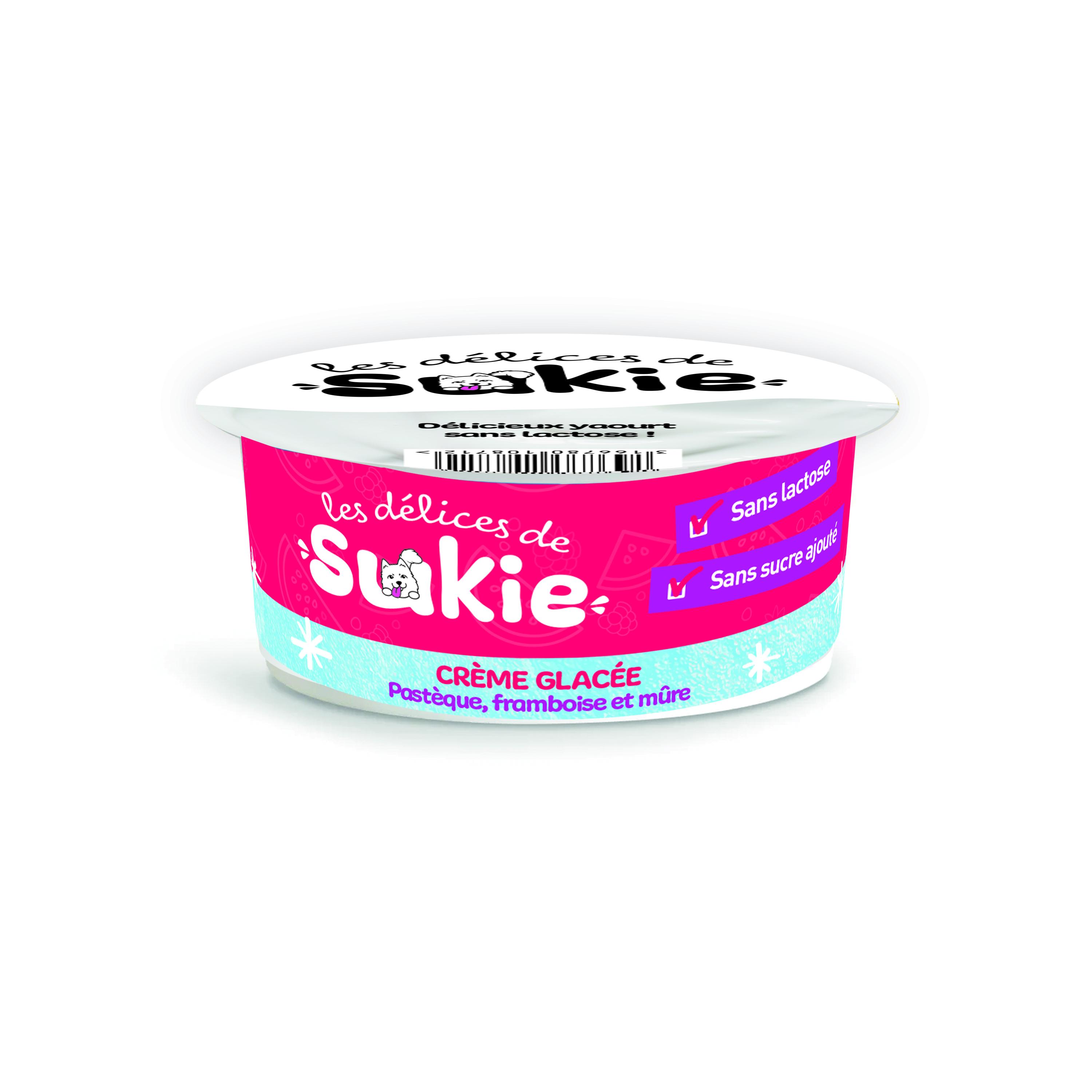 RIGA Crème glacée pastèque framboise mûre pour chien 110g
