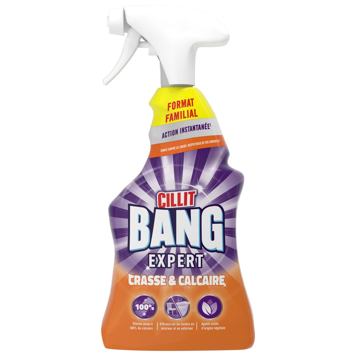 CILLIT BANG Spray nettoyant expert crasse et calcaire 1l