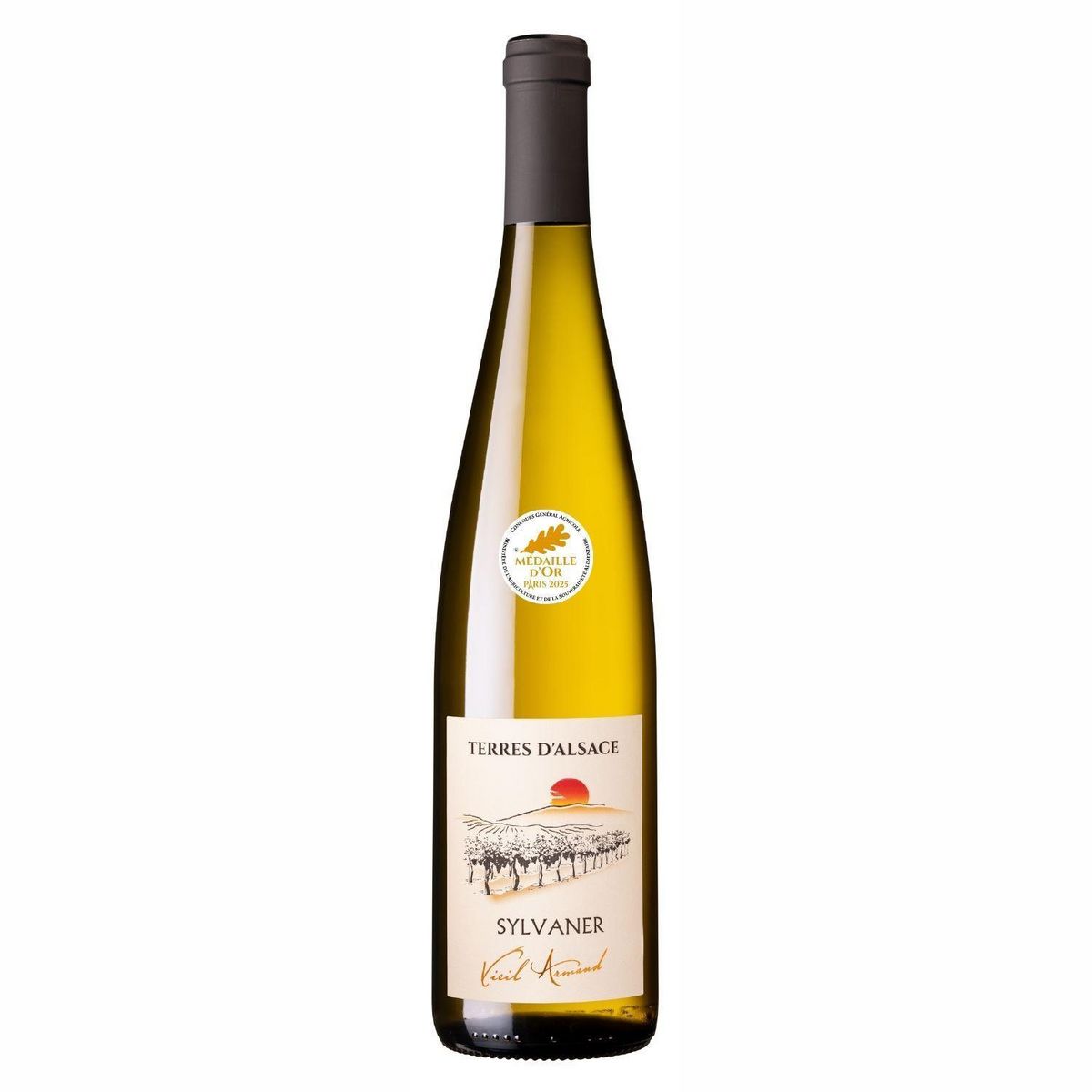 AOC Alsace Sylvaner Terre d'Alsace LA CAVE DU VIEIL ARMAND sec blanc 75cl
