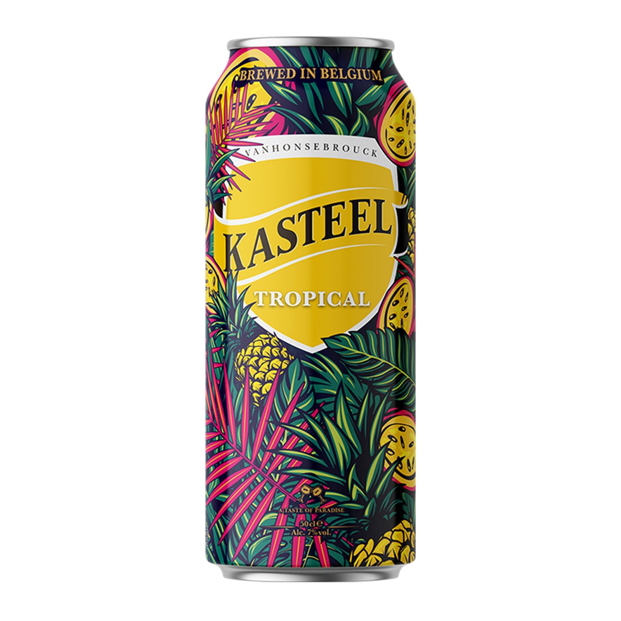 KASTEEL Bière tropical 7% boîte 50cl