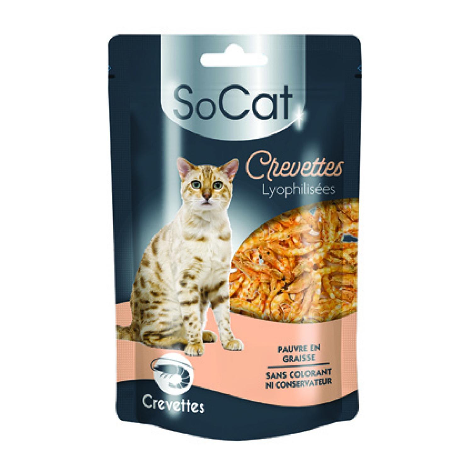 RIGA Friandises crevettes lyophilisées pour chat 20g