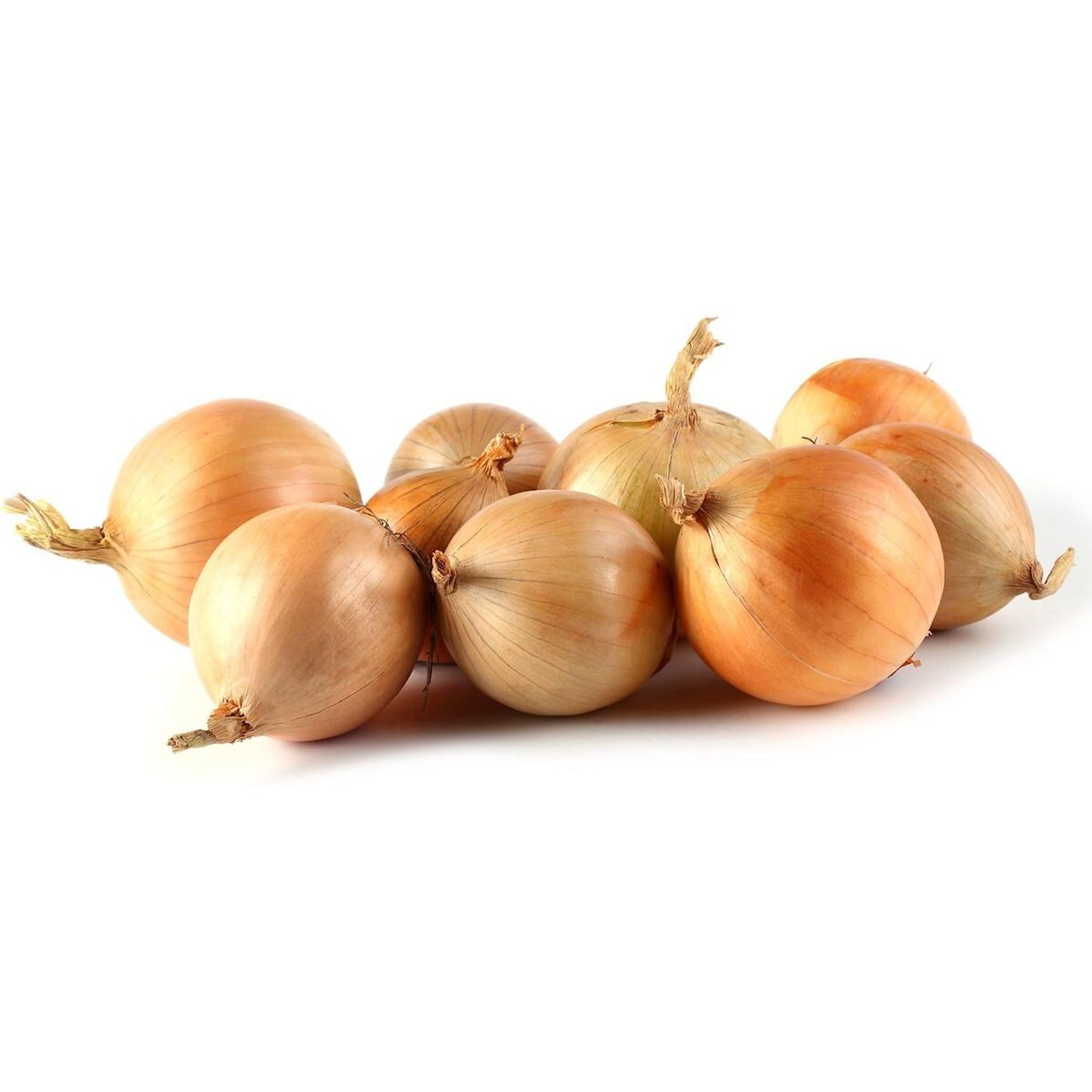 Oignon prix bas 1.5kg