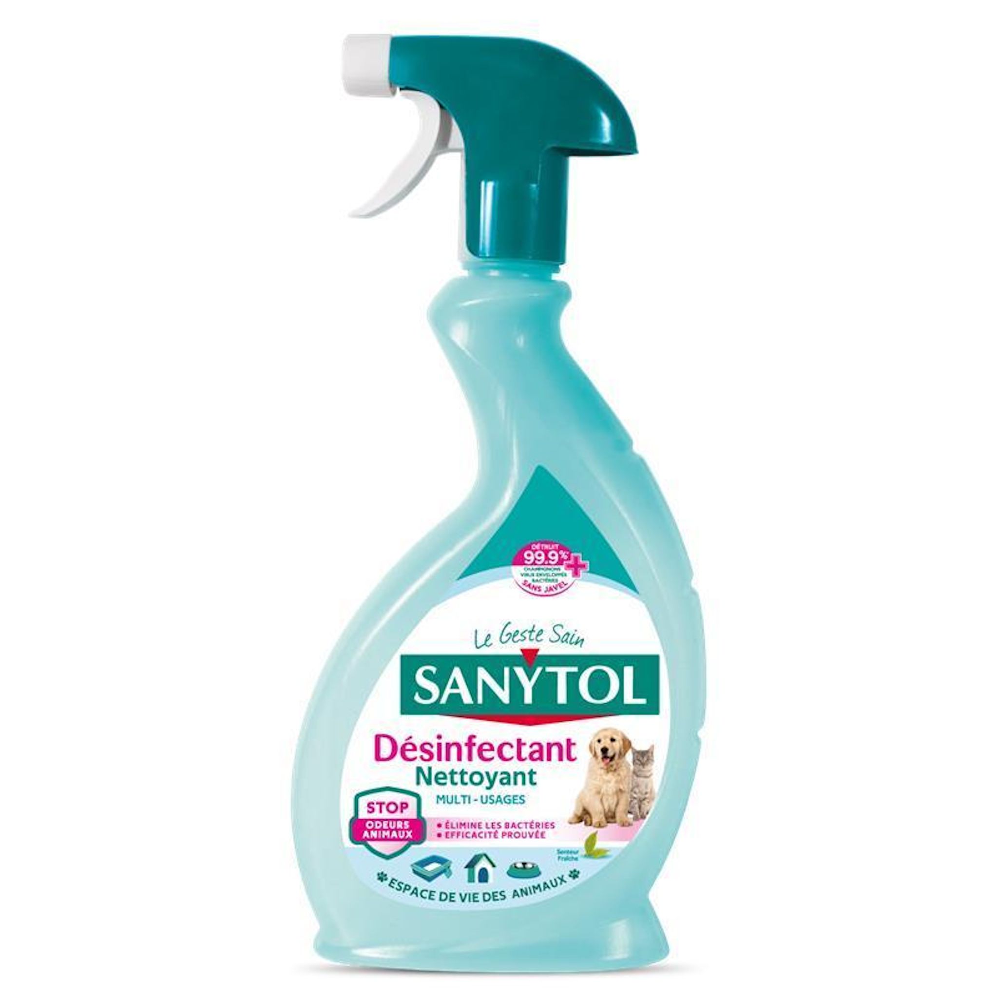 SANYTOL Liquide désinfectant nettoyant multi-usages eucalyptus 500ml