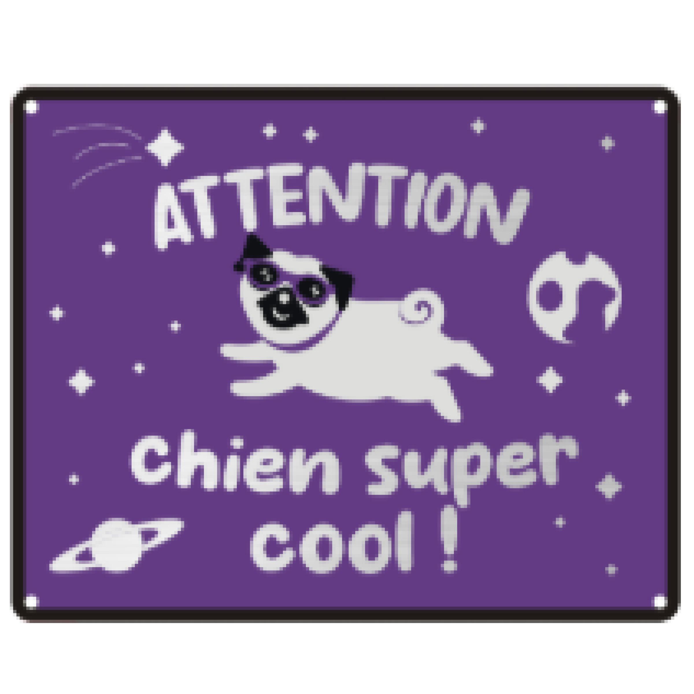 TRUF' & CO Panneau humour chien super cool 25x20cm 1 pièce