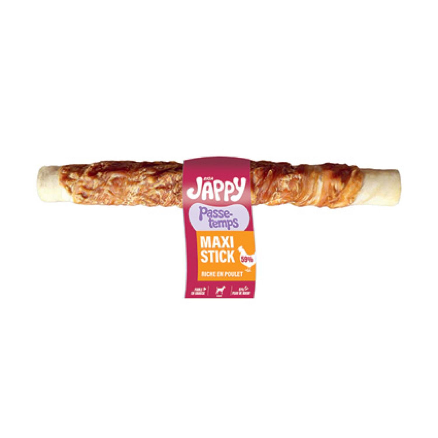 RIGA Friandises sticks hygiène dentaire au poulet pour grand chien 80g