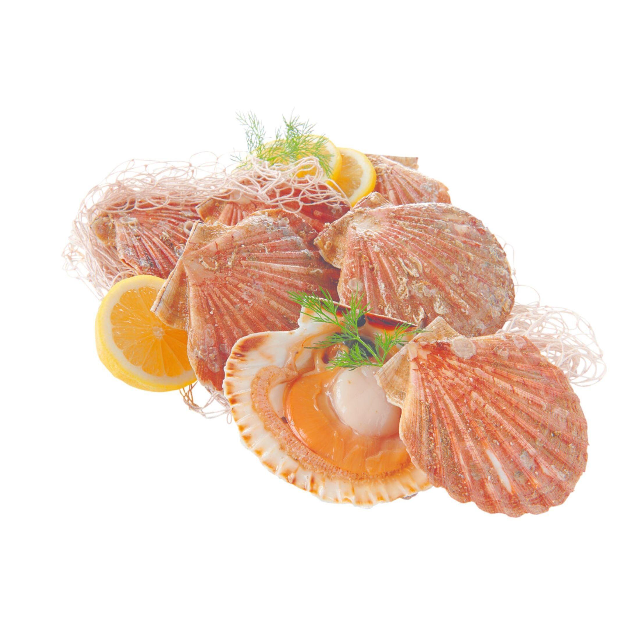 MON POISSONNIER Coquilles Saint-Jacques entières avec corail 3 portions 950 g à 1.05 kg