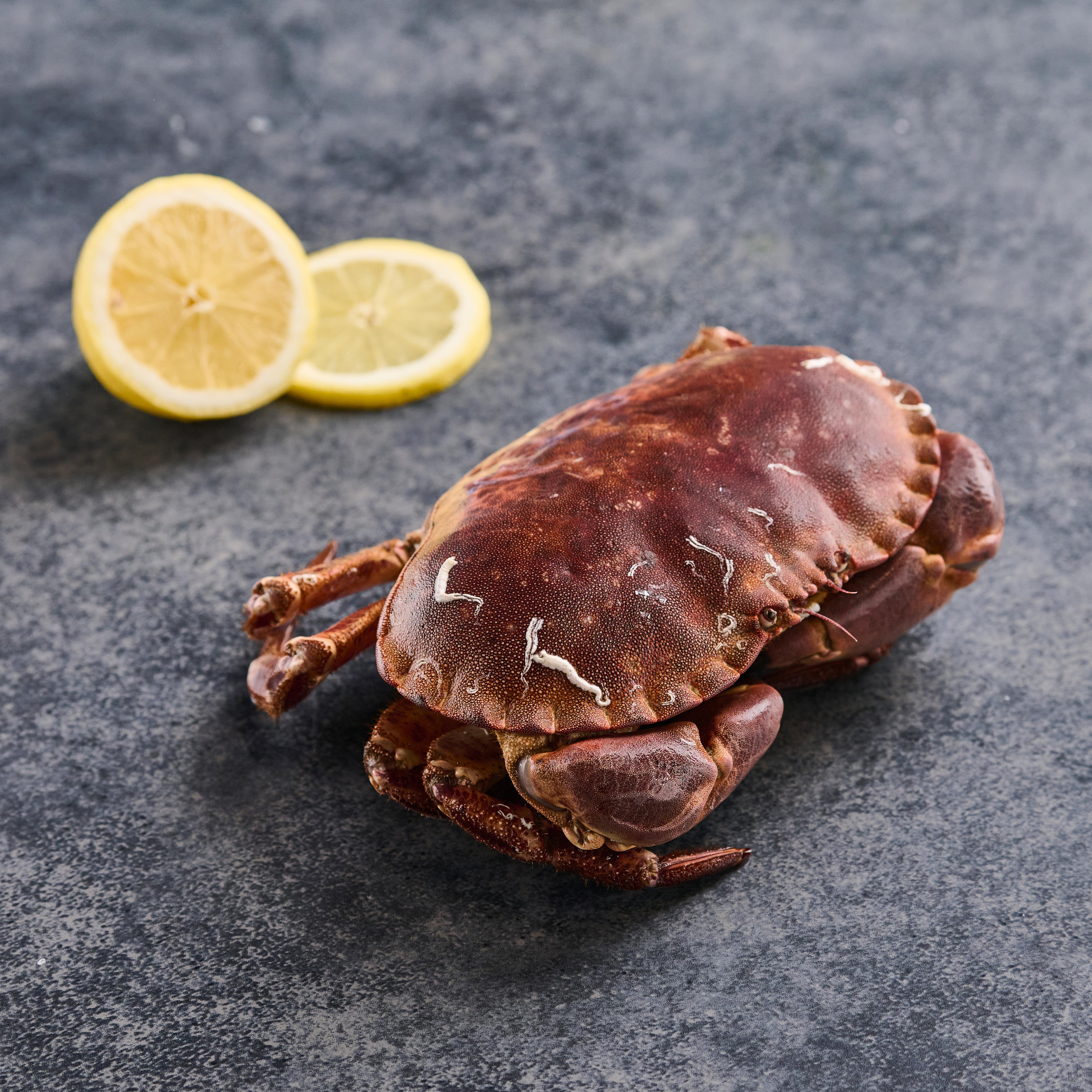 MON POISSONNIER Tourteau vivant 400g minimum 3 portions 400 g à 600 g
