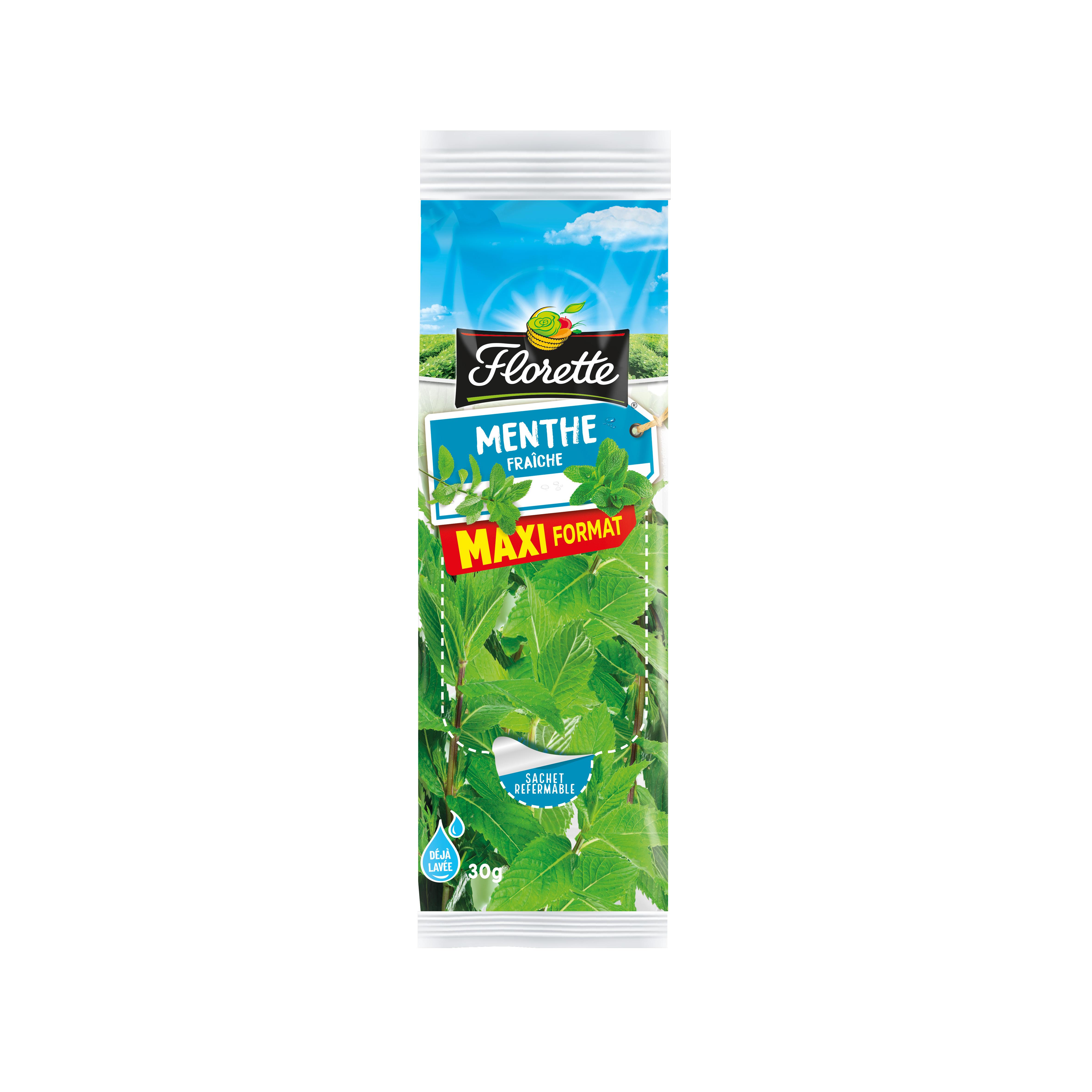 FLORETTE Menthe fraîche maxi format 30g