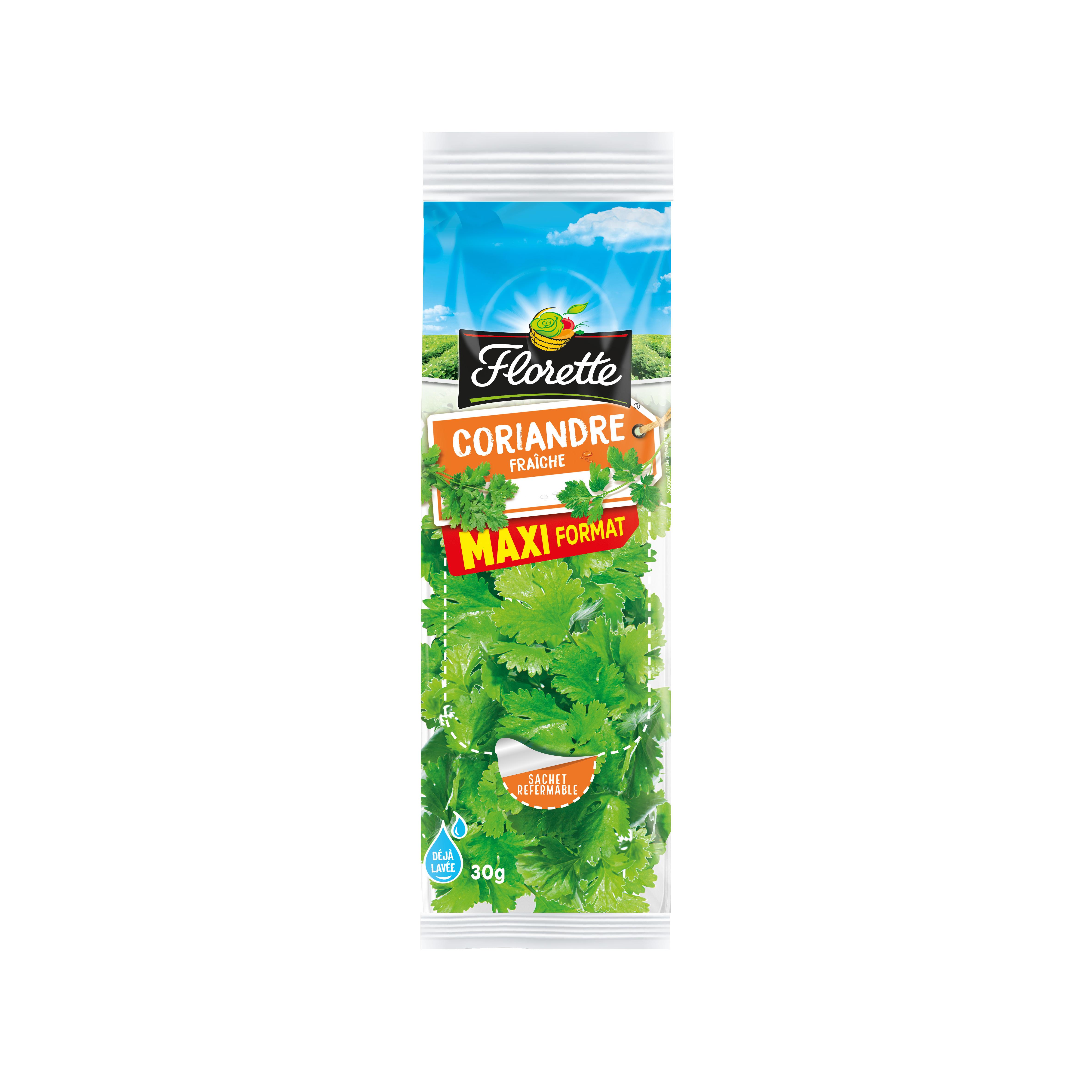 FLORETTE Coriandre fraîche maxi format 30g