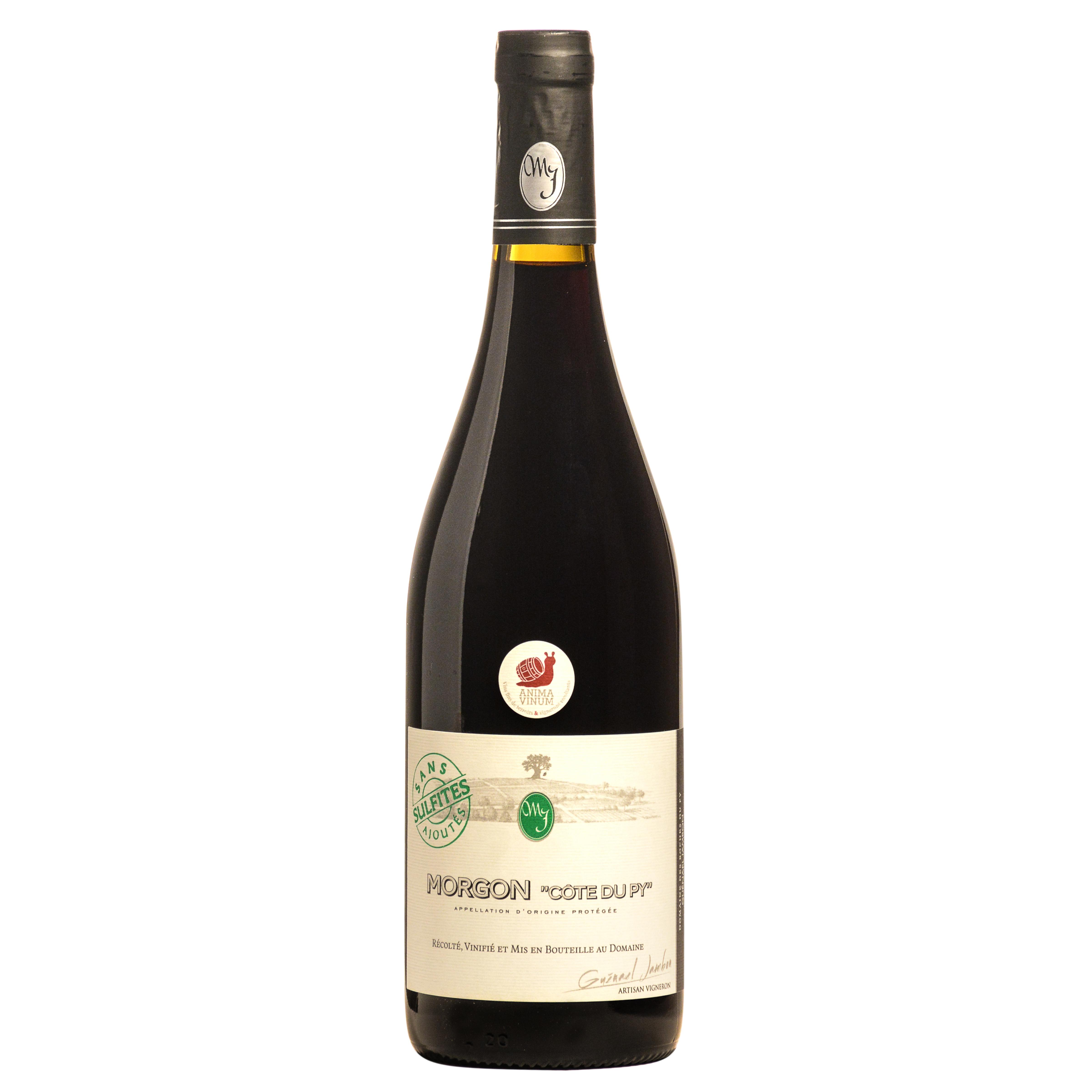 AOP Morgon Anima Vinum Rouge 2022 Côte du Py Roches du Py sans sulfites 75cl