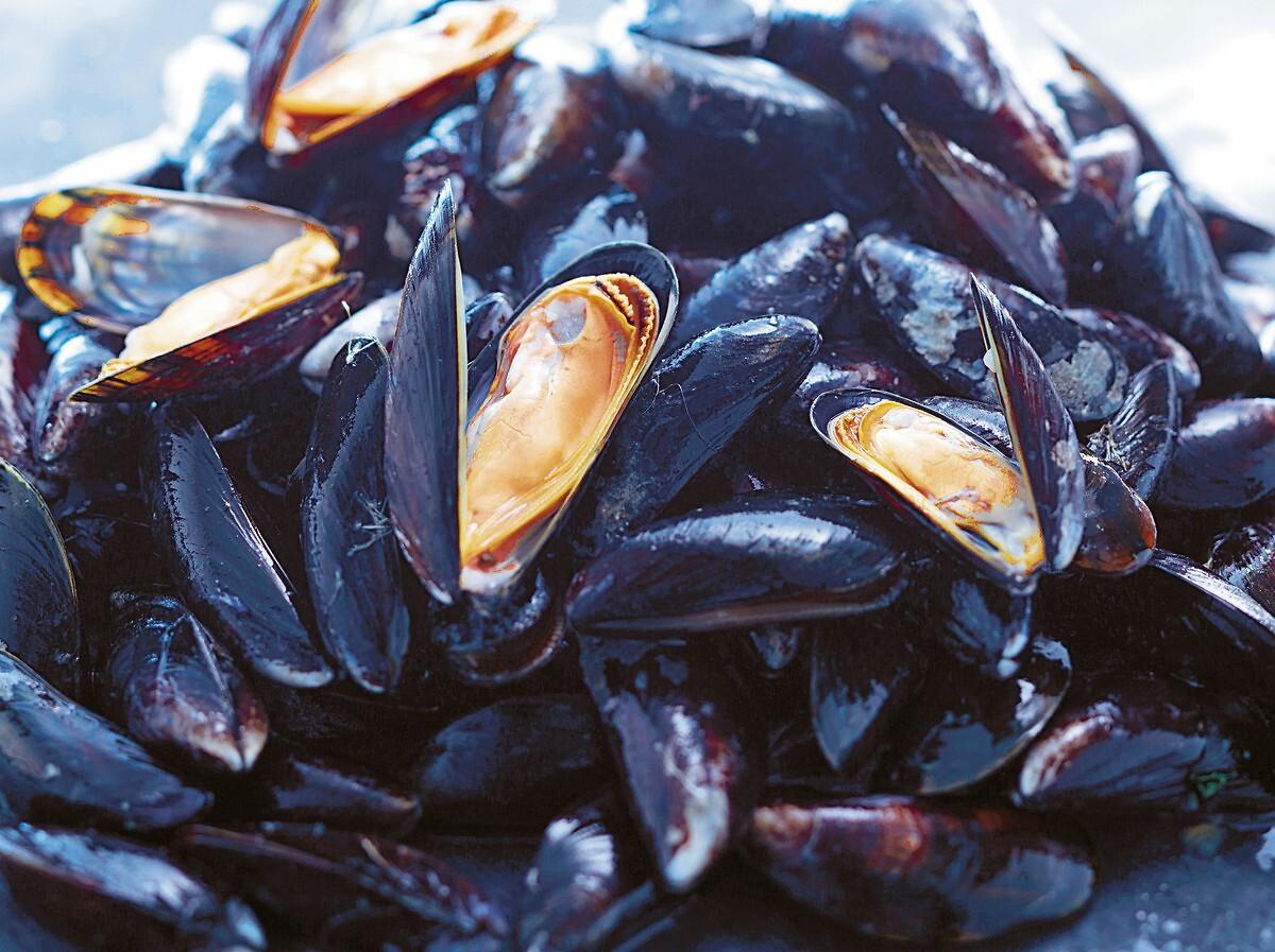 MON POISSONNIER Moules de Bouchot du Mont Saint-Michel 900 g à 1.1 kg