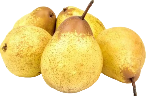 Poire Rochas prix bas 1 kg