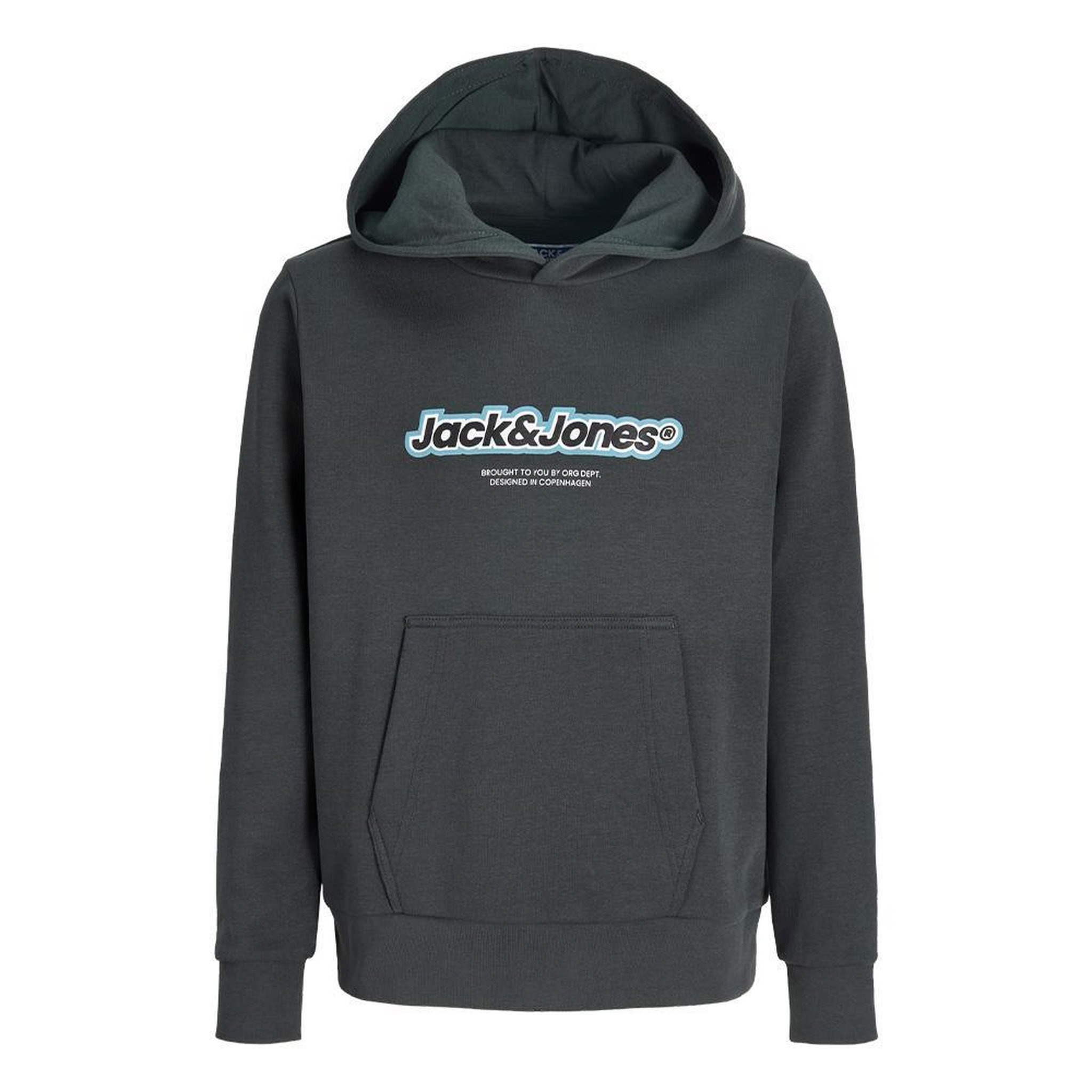 Voir la diapositive 1 : Jack & Jones Sweat à Capuche Gris Garçon Jack & Jones Newton Branding