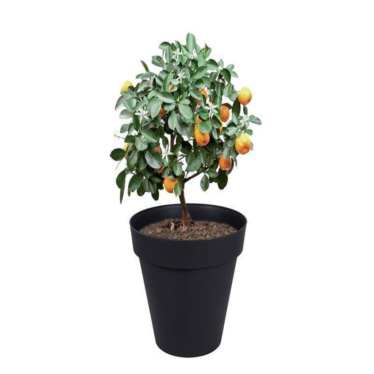 Eda Pot de fleur rond Toscane Ø 80 x H.66 cm - Anthracite - Eda