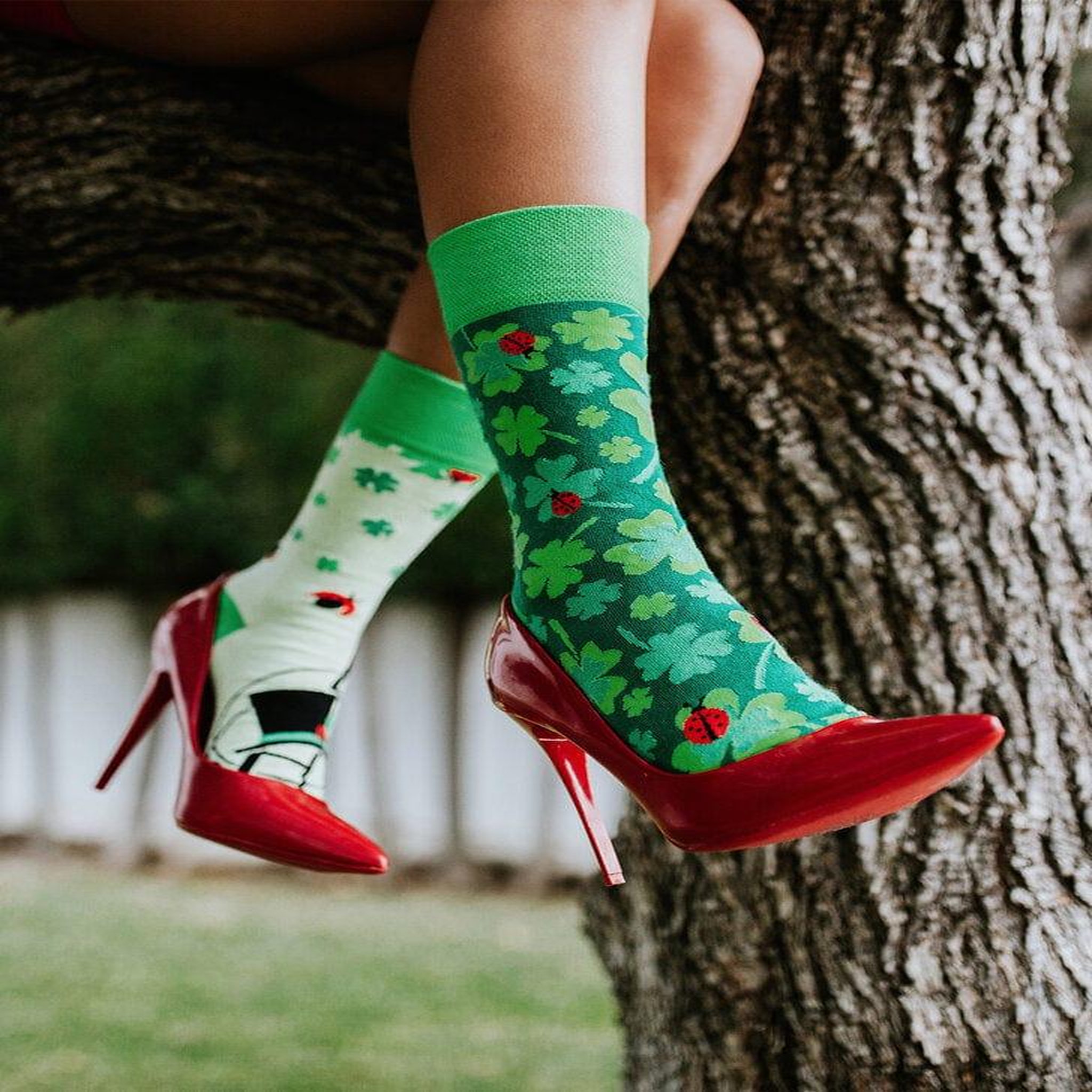 Voir la diapositive 2 : DEDOLES Chaussettes coccinelles et trèfles à 4 feuilles