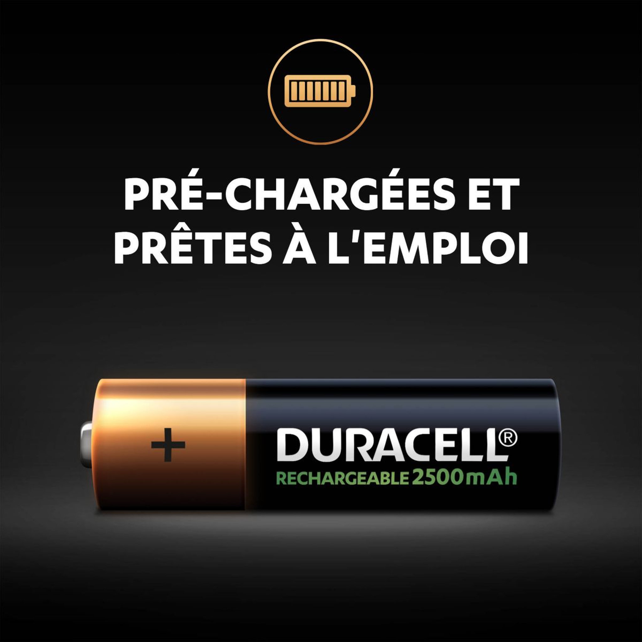 Voir la diapositive 2 : Duracell Pile rechargeable AAA/LR03 ULTRA POWER 850 mAh x4