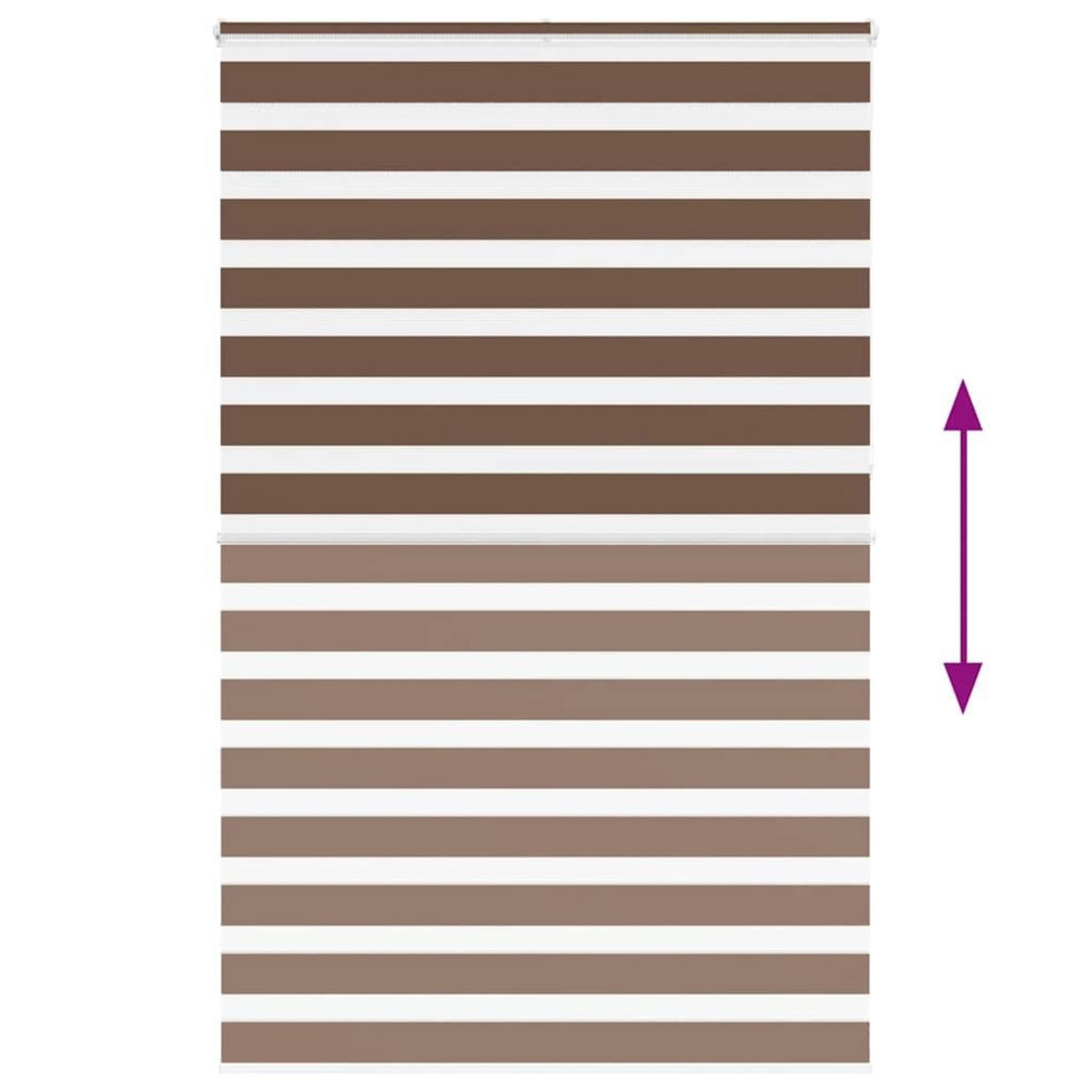 VIDAXL Store zebre marron 150x230cm largeur du tissu 145,9cm polyester