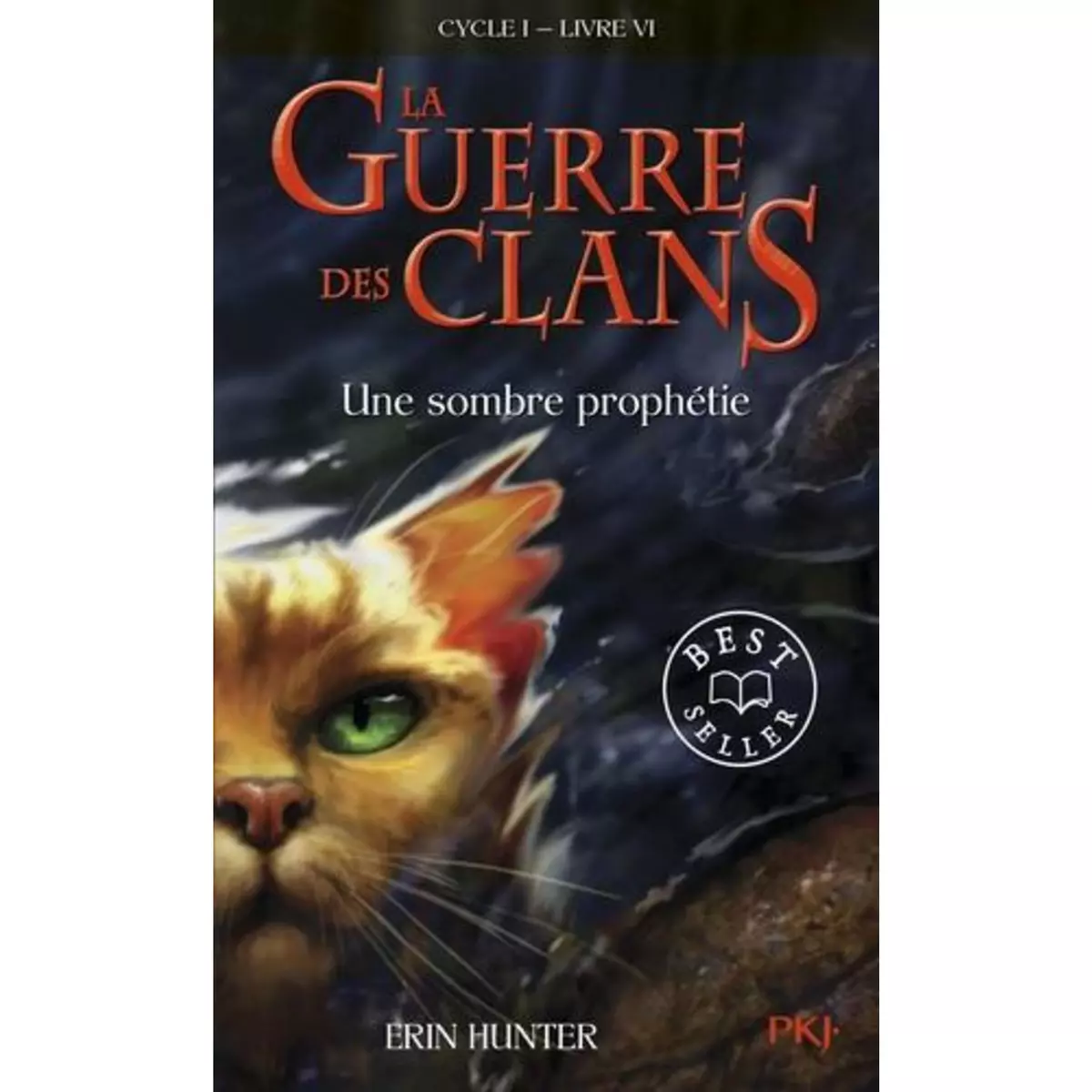  LA GUERRE DES CLANS (CYCLE 1) TOME 6 : UNE SOMBRE PROPHETIE, Hunter Erin
