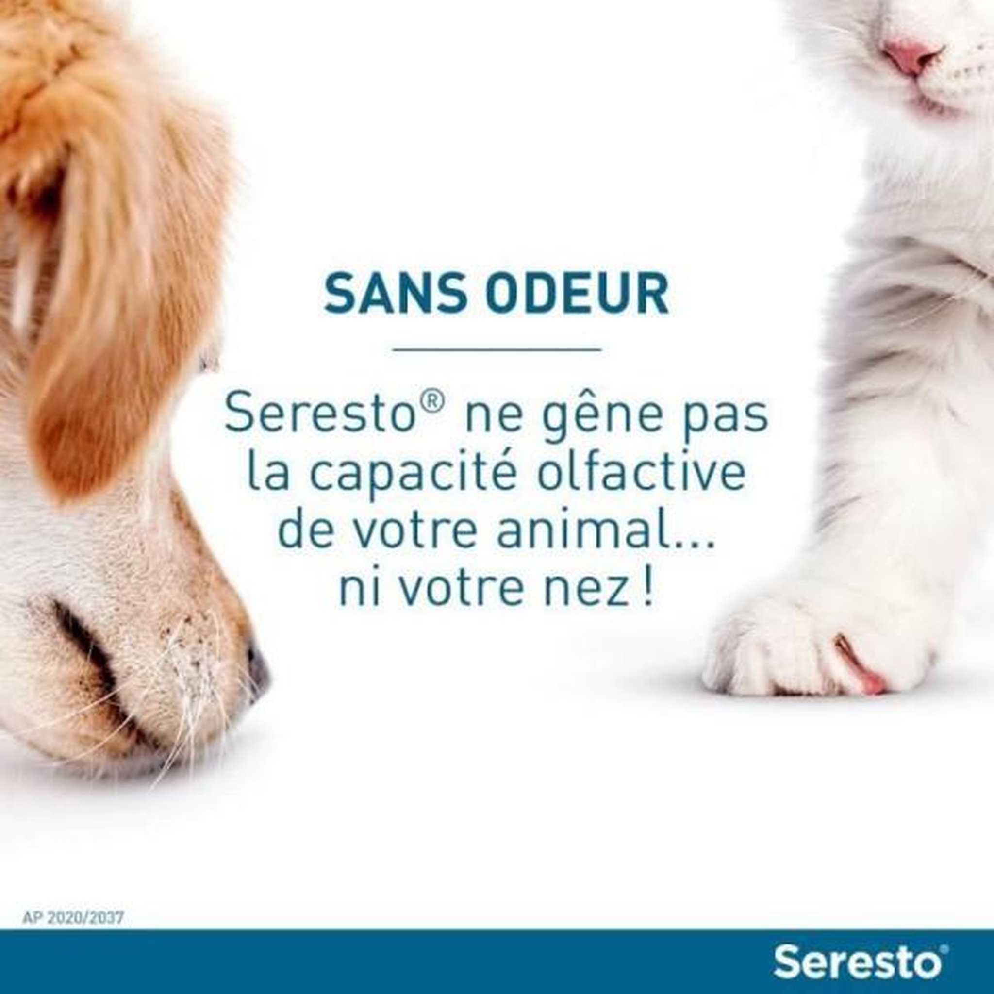 Voir la diapositive 6 : Seresto Seresto chien collier anti-puces et anti-tiques -8kg 2 unités