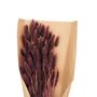 Voir la diapositive 2 : ATMOSPHERA Bouquet de Fleurs  Queue de Lapin  58cm Violet