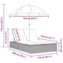 Voir la diapositive 6 : VIDAXL Chaise longue double avec coussins et parasol gris clair rotin