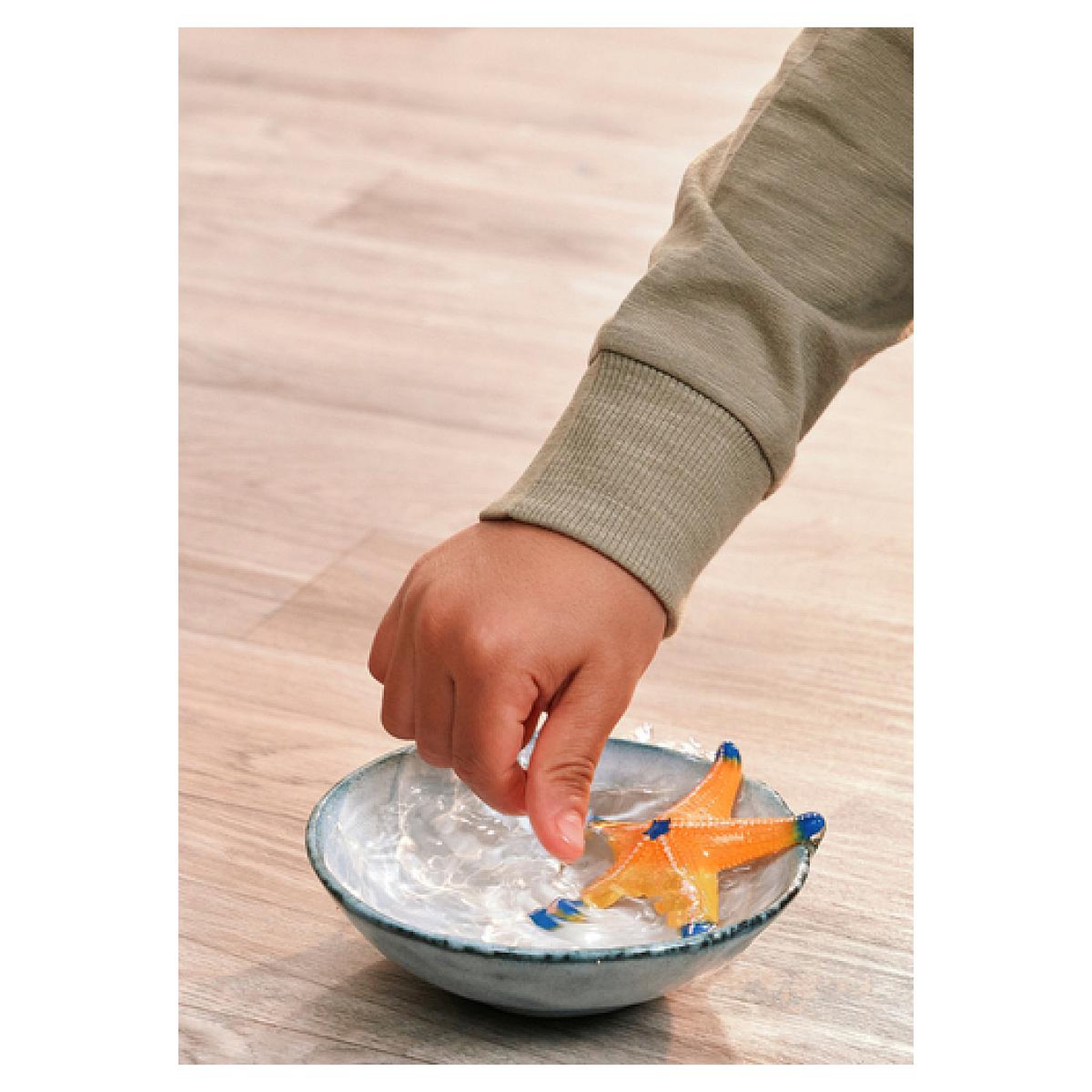 Voir la diapositive 3 : Schleich WILD LIFE Étoile de mer