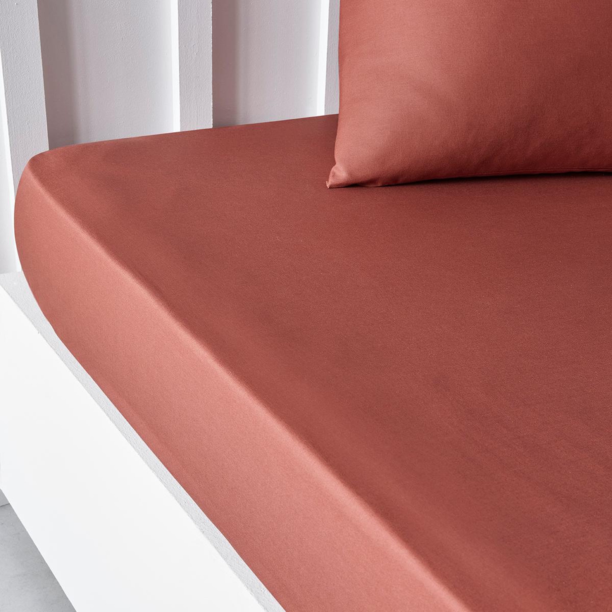 Voir la diapositive 3 : TODAY Drap housse uni en Coton 57 fils ESSENTIAL 