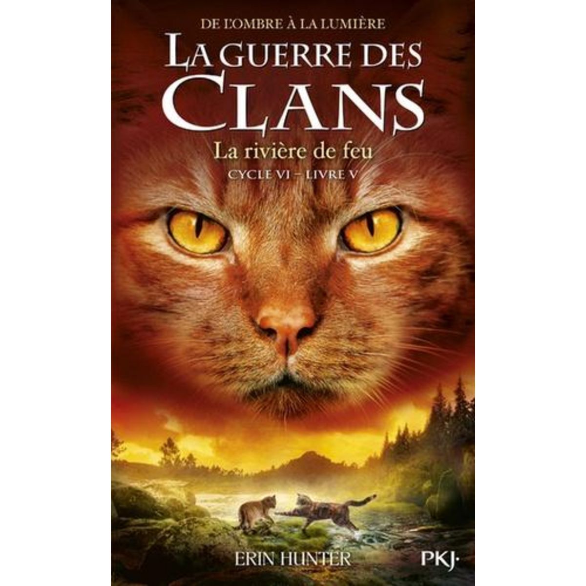LA GUERRE DES CLANS : DE L'OMBRE A LA LUMIERE (CYCLE VI) TOME 5 : LA RIVIERE DE FEU, Hunter Erin