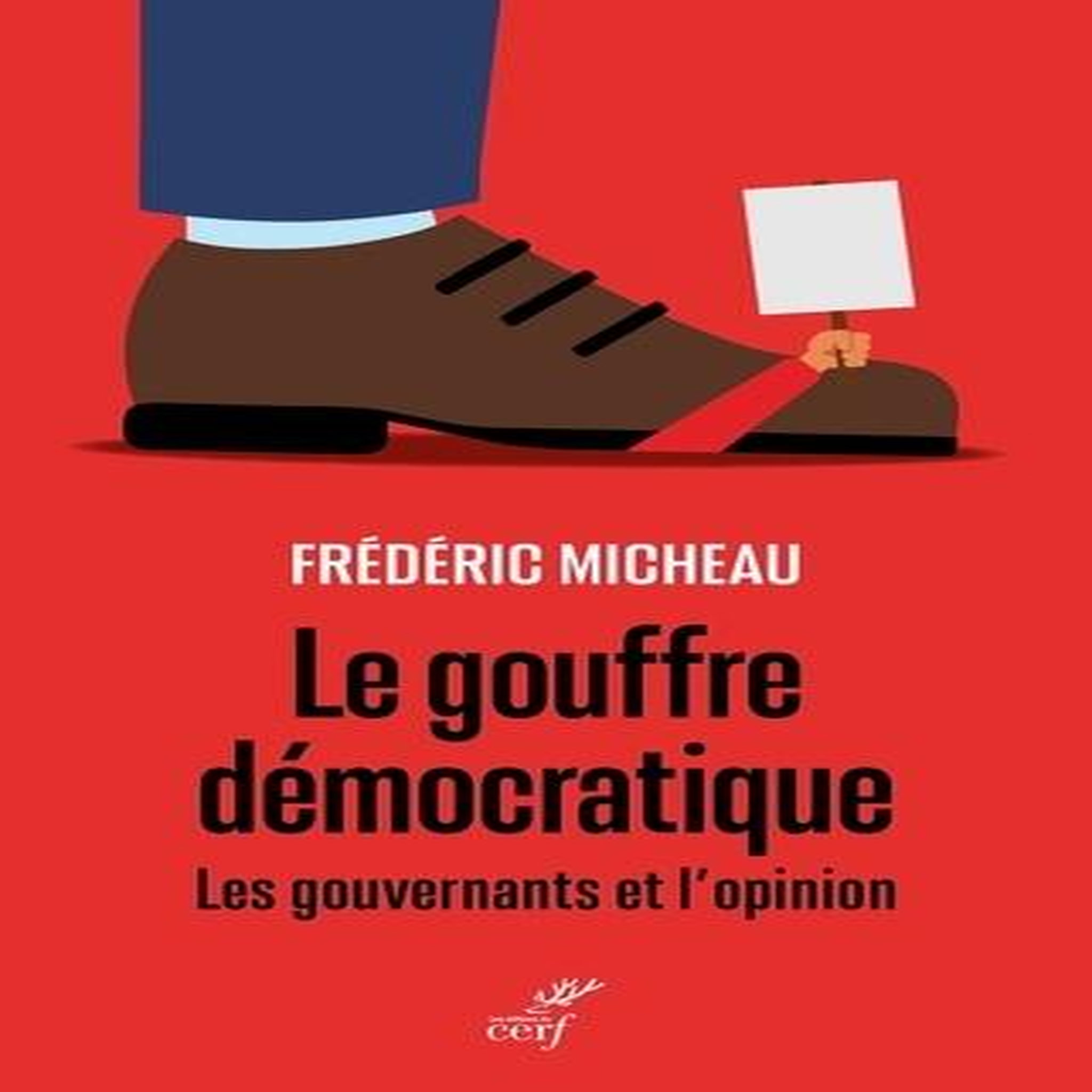 LE GOUFFRE DEMOCRATIQUE. LES GOUVERNANTS ET L'OPINION, Micheau Frédéric