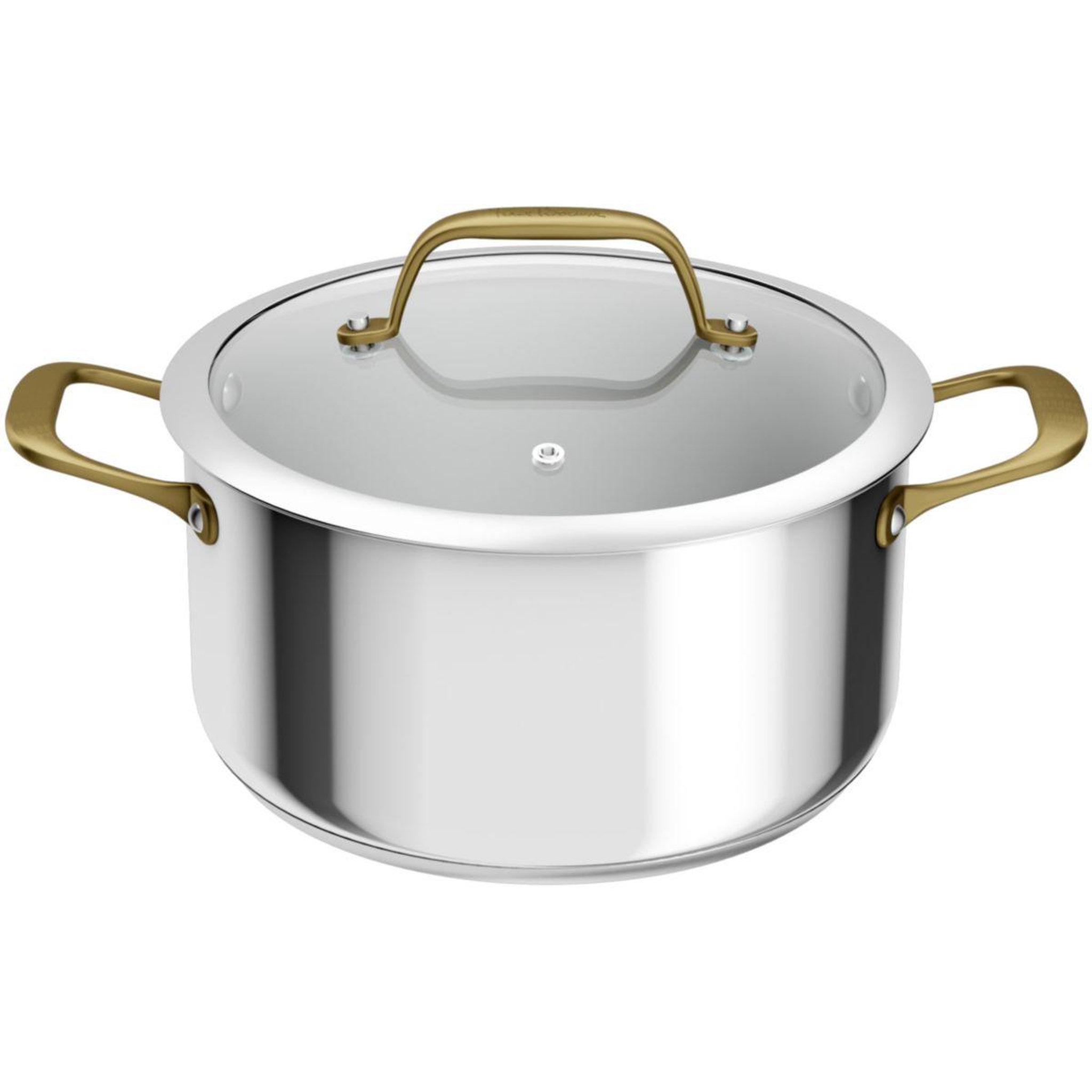 Voir la diapositive 2 : TEFAL Faitout 24cm edition bocuse