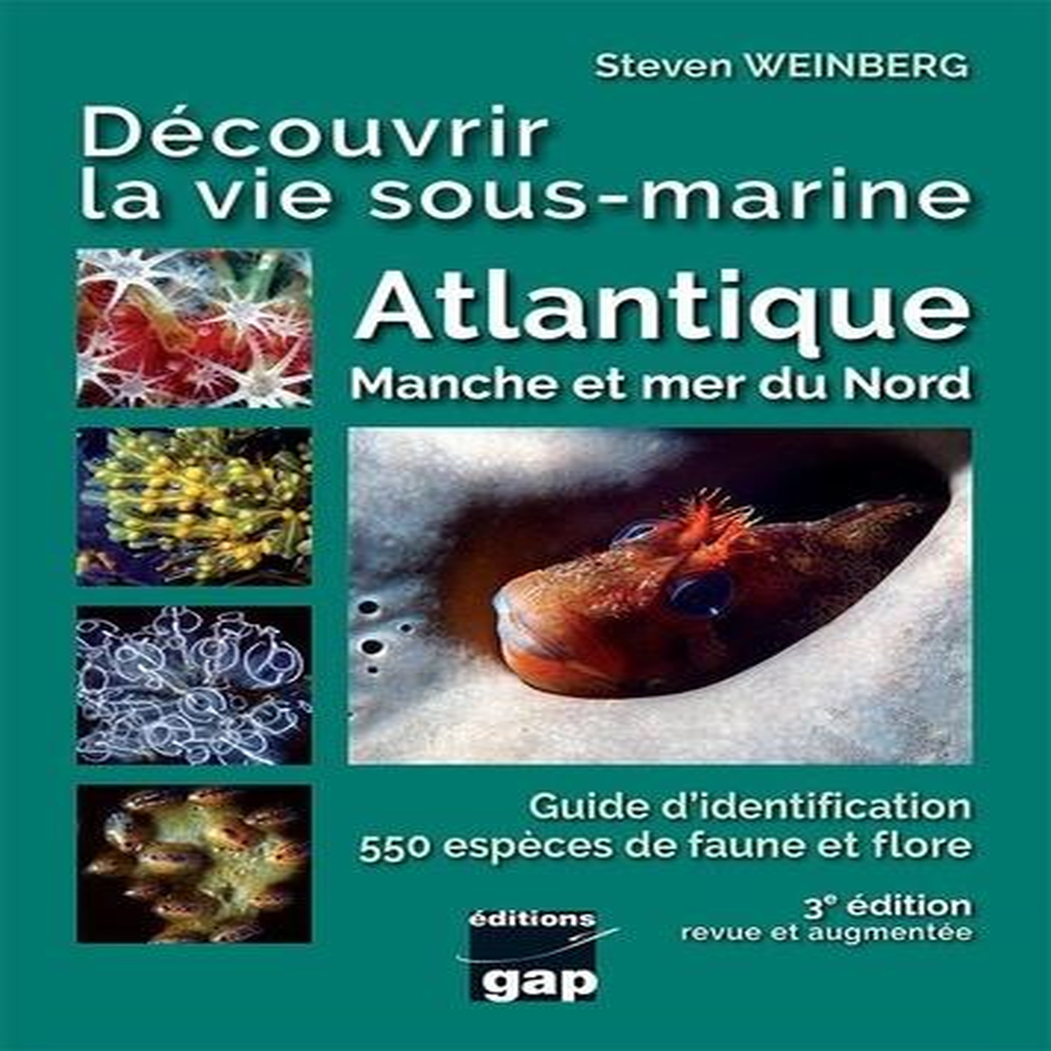 DECOUVRIR LA VIE SOUS-MARINE ATLANTIQUE, MANCHE ET MER DU NORD. 3E EDITION, Weinberg Steven
