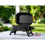Voir la diapositive 2 : NAPOLEON Barbecue à gaz portable Travel Q 240 - Napoleon