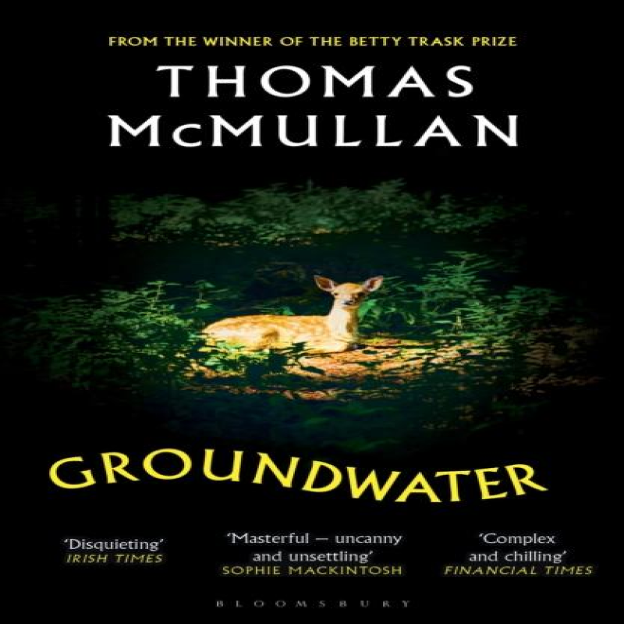LIVRES Groundwater : 'Complex, chilling, masterful' Financial Times