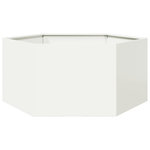 VIDAXL Jardiniere blanc hexagone 104x90x45 cm acier