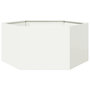 Voir la diapositive 1 : VIDAXL Jardiniere blanc hexagone 104x90x45 cm acier