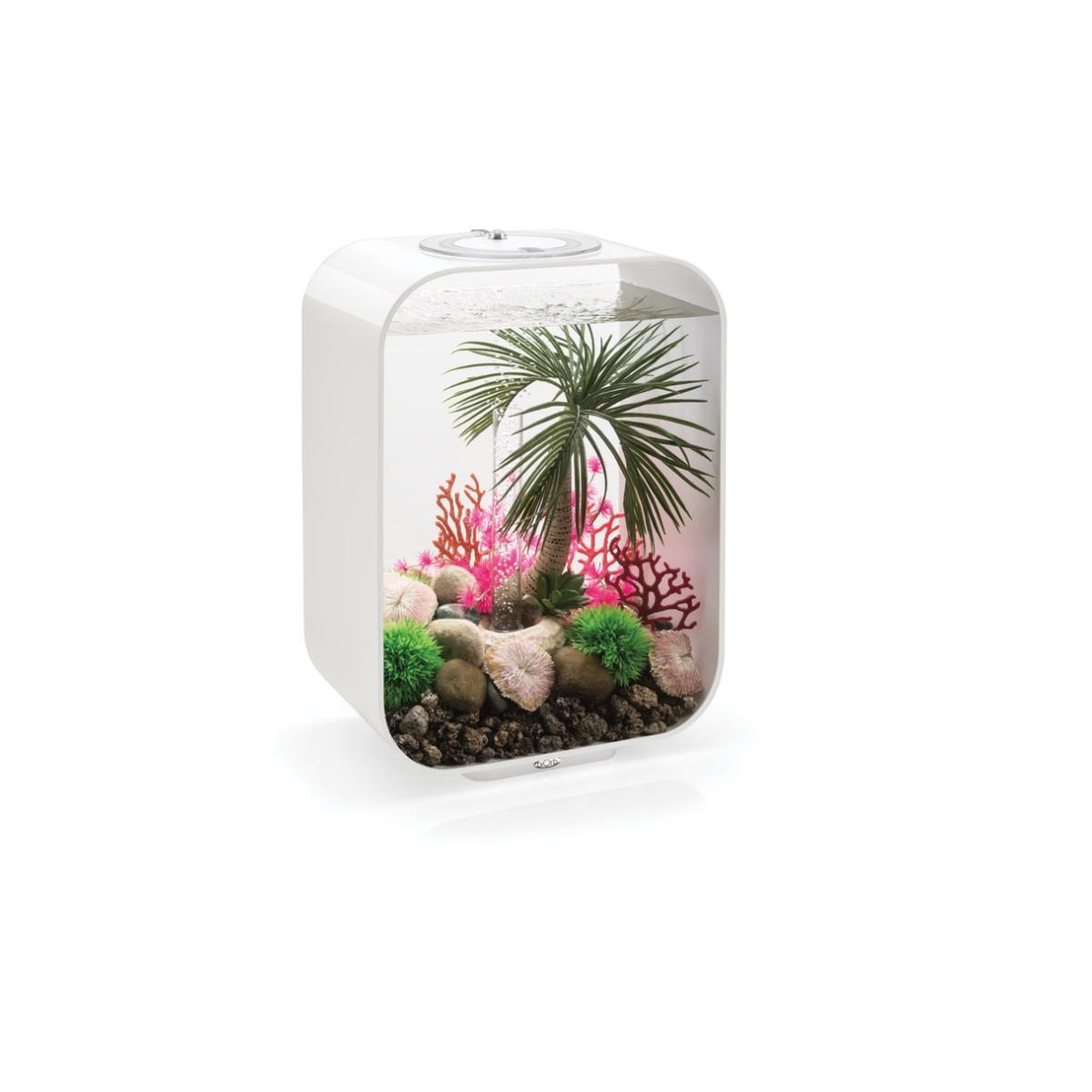 Voir la diapositive 3 : Oase Aquarium 15l led contours blanc - life 15 led white